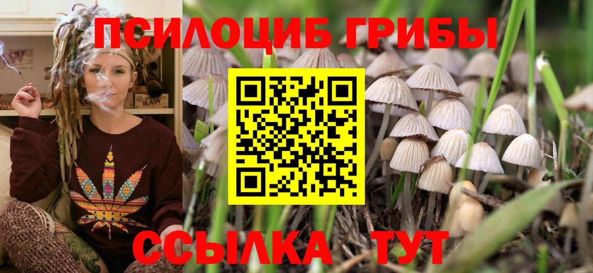 Чехов  Галлюциногенные грибы Psilocybe  Вход с VPN  Галлюциногенные грибы прущие грибы 
