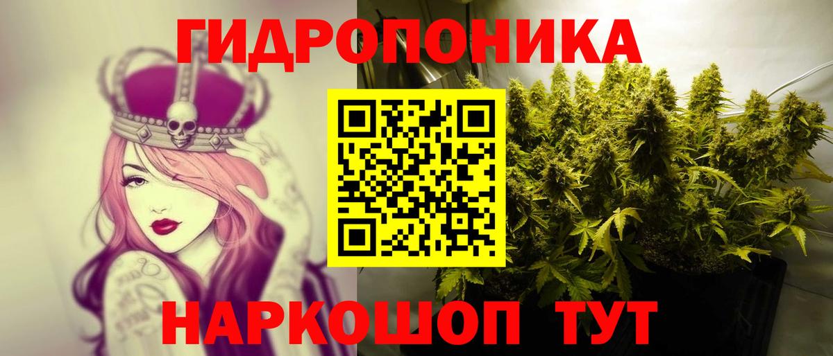Бошки марихуана OG Kush  Вход с VPN  Шишки марихуана OG Kush  Чехов  Канабис семена 